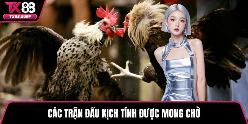Các trận đấu kịch tính được mong chờ
