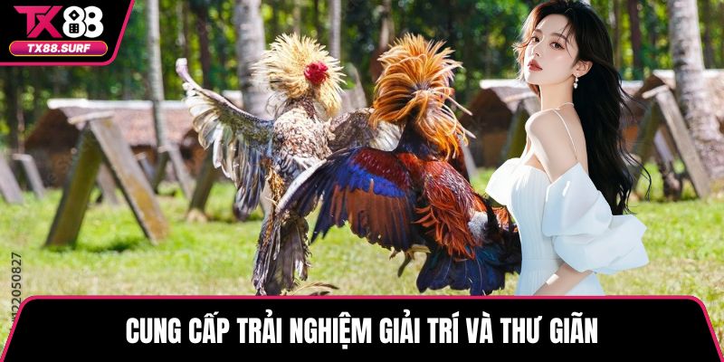 Cung cấp trải nghiệm giải trí và thư giãn